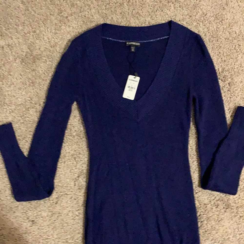 Express dark purple sweater